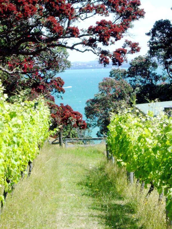 Waiheke Island Vineyard Holiday Houses Surfdale ภายนอก รูปภาพ